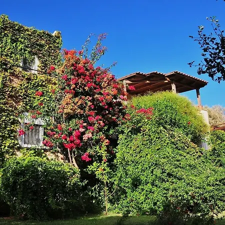 Appartement Fleria Platanés